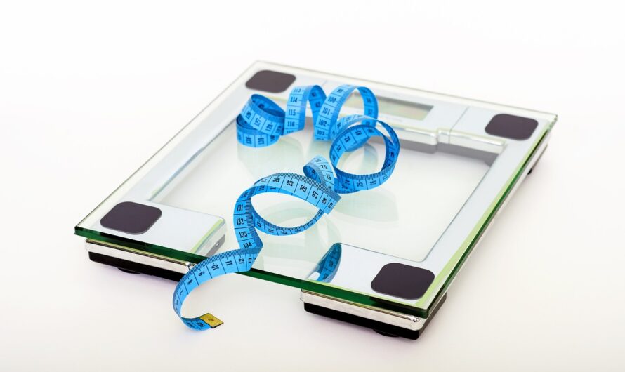 A Unique Take on 5 Great High Capacity Bathroom Scales